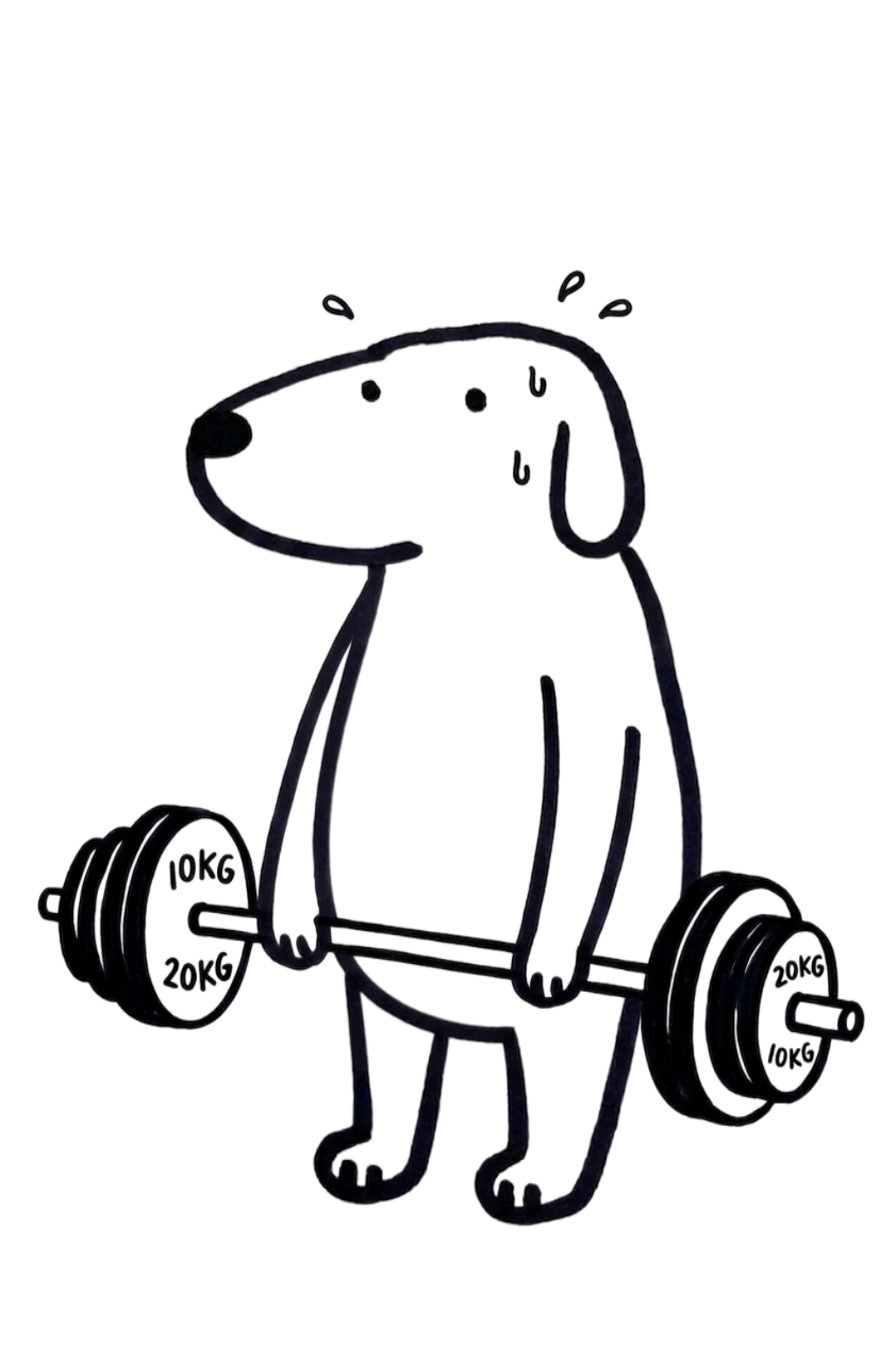 Workout